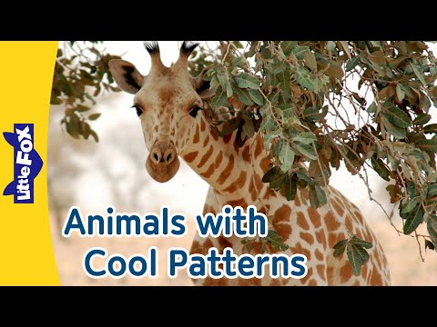 Fun with Animal Patterns for Kids | Cheetah, Ladybug, Siberian Tiger, Zebra, Giraffe | Little Fox