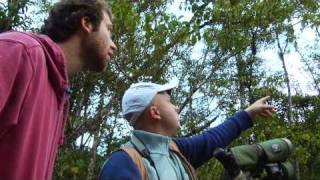 preview picture of video 'Bird Watching - Bosque de Paz, Costa Rica'