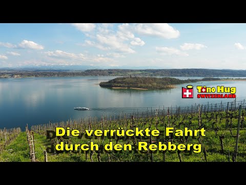 Verrückte Fahrt durch den Rebberg in Ligerz am Bielersee