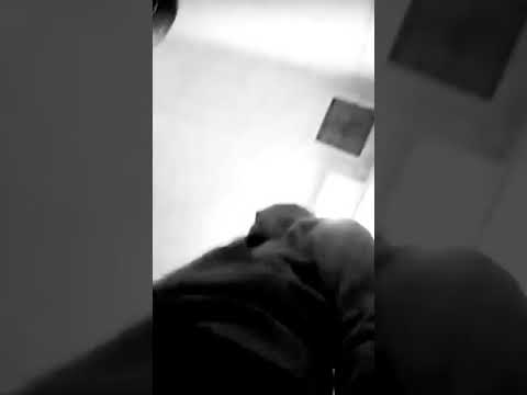 22gz, Zanotti and Ryu Blixky Locked up in bookings