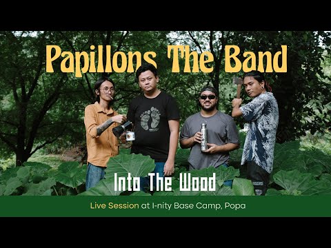 Papillons The Band - Into The Wood (Live Session)
