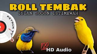 Download lagu Sogon Isian Kenari Mewah ‼️ Ngerol Panjang mp3 Download lagu Sogon Isian Kenari Mewah ‼️ Ngerol Panjang mp3