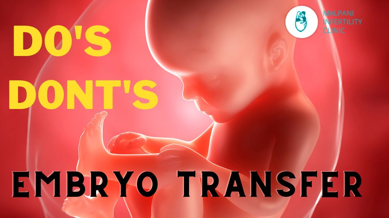 Myths about embryo transfer: Precautions and step day by day #Embryotransfer