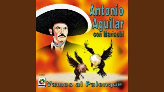 Gallero De Corazón
