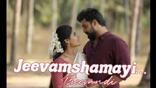 Jeevamshamayi | Theevandi | Kailas Menon | Harisankar K S | Shreya Ghoshal | Sebin Xavier