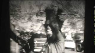 Mimicking Birds "Under and in Rocks"