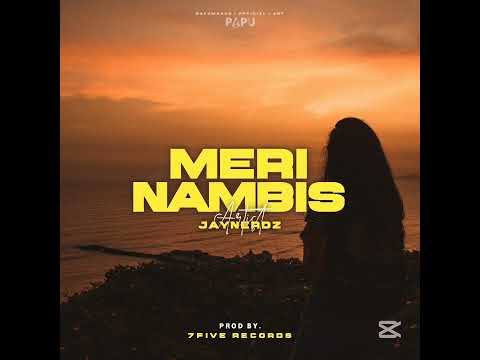 MERI NAMBIS - JAYNERDZ - (2025 OFFICIAL AUDIO)