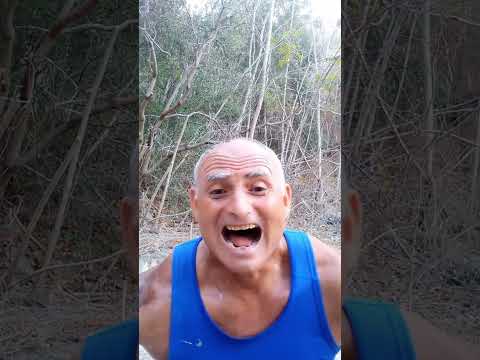 ENTRAAAA SU FORTNITE...