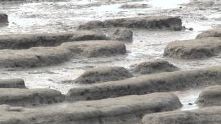 preview picture of video 'Schoonheid van het Waddenlandschap boven Ternaard'