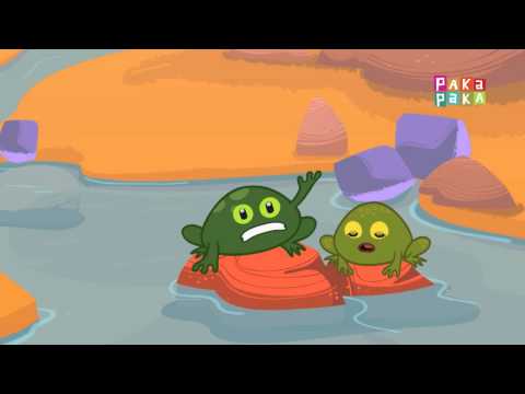 Animales Andinos - Sapos Andinos- Canal Pakapaka