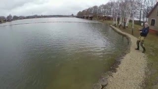Рыбалка на риге золотой сазан
