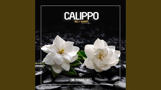 Calippo Chords