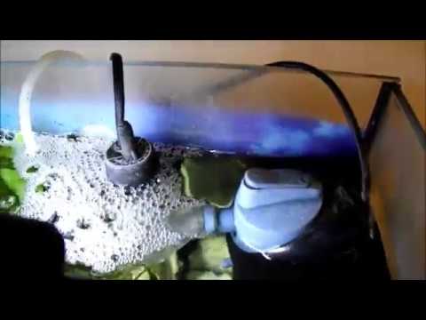 YouTube video about: Where to place a filter in a fish tank?