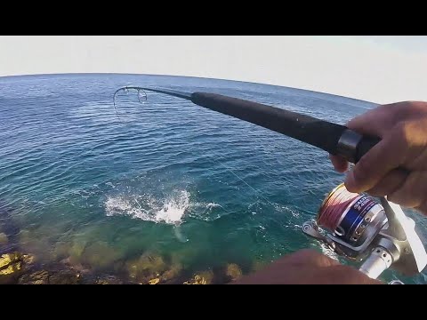 Jig or popper?...the topwater frenzy