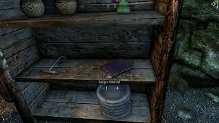 Skyrim Paladin Aegis
