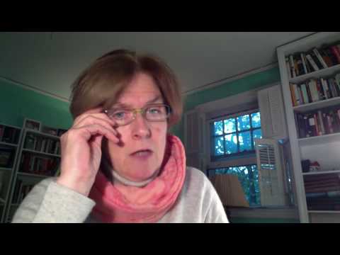 VIDEO UPDATE: Professor Joyce Sullivan and First Draft of PAF3201 Field Report