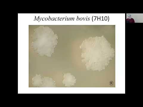 , title : 'Microbiology | Lecture #13 | Mycobacterium species'