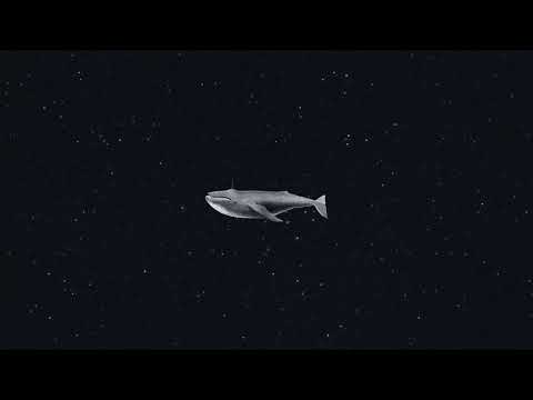 Wax Motife Feat Diddy - Divided Souls ( Extended Mix )