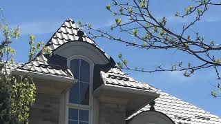 Dream Roof - Metal Roofing Toronto & GTA