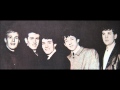 The Hollies - You Know He Did (at the BBC/1965)