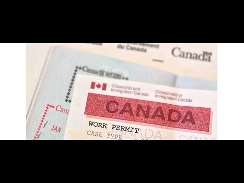 How to Apply for Co-Op Work Permit in Canada