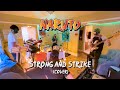 Naruto Strong And Strike Cover