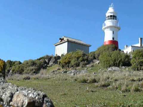 Low Head Foghorn