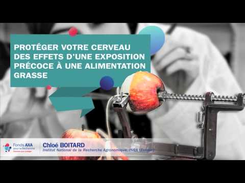 Exposition - La Beauté de la Science