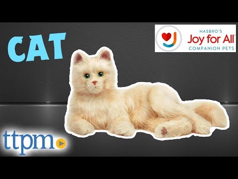 Joy for All Companion Cat demonstration