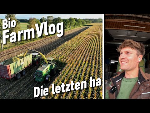180 ha of maize are off + soy storage / Vlog 53