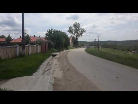 Emil Racovita, com Danesti