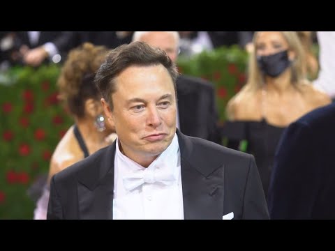 Elon Musk Cancels Don Lemon's Talk Show After Interview