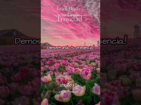  🎵 Erick Flores y su Grupo Trinidad — Señor estoy aquí