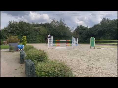 Creta // Show Jumping // Cascadello // 2015 // Mare