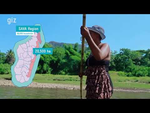 Madagascar: Home of vanilla production