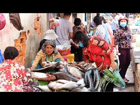 Phnom Penh City Morning Market | Samaki Market