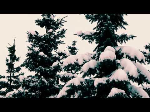 Wounds - Dance of the Snowflakes