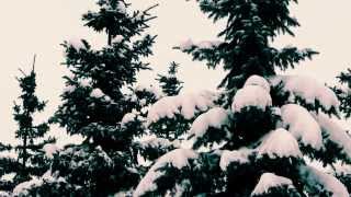Wounds - Dance of the Snowflakes