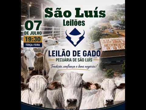 SÃO LUIS DE MONTES BELOS - GO   07/07/2026