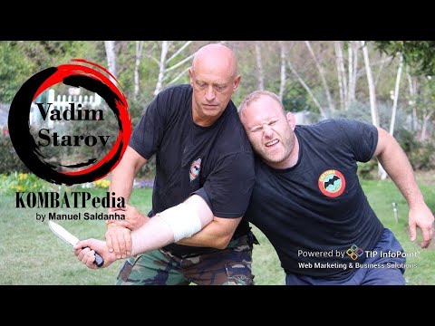 THE BEST of Vadim Starov - Systema (English)