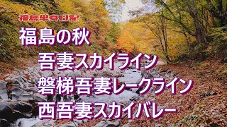 【福島単身日記】紅葉の磐梯吾妻３ラインをドライブ！