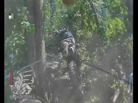 Siversk - XX.08.2025. The SowaFM-81 Unit Hitting RuAF Equipment Camouflaged In The Woods.