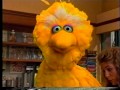 Sesame Street Big Bird Tries To Help Gina