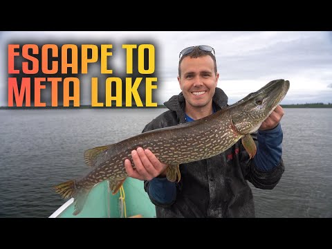 Epic Canadian Fishing at Meta Lake Lodge | Unmatched Wilderness & Adventure