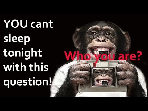 You cant sleep with this question!