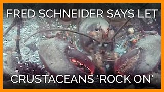 Fred Schneider of the B-52&#39;s: Let Lobsters and Crabs &#39;Rock On&#39;