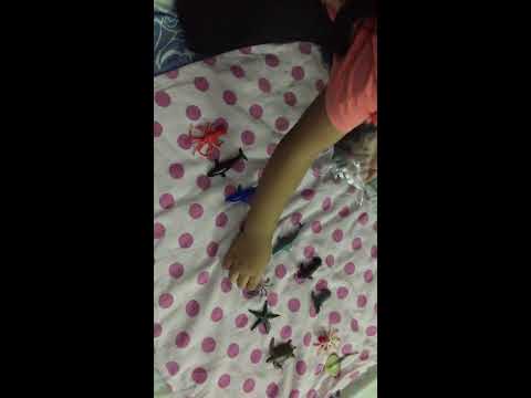 Kalisha and Mikaeel showing their Sea Animals | Sea animals | kids show