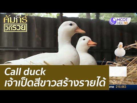 Call duck เจ้าเป็ดสีขาว สร้างรายได้