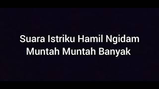 Download lagu Istriku Hamil Sedang Muntah Muntah Banyak di Ember Plastik mp3