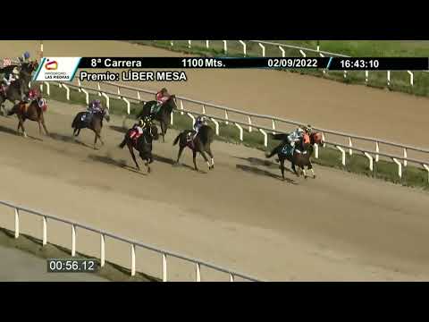220902 c08 - SHAGO (ARG) - HIPODROMO LAS PIEDRAS